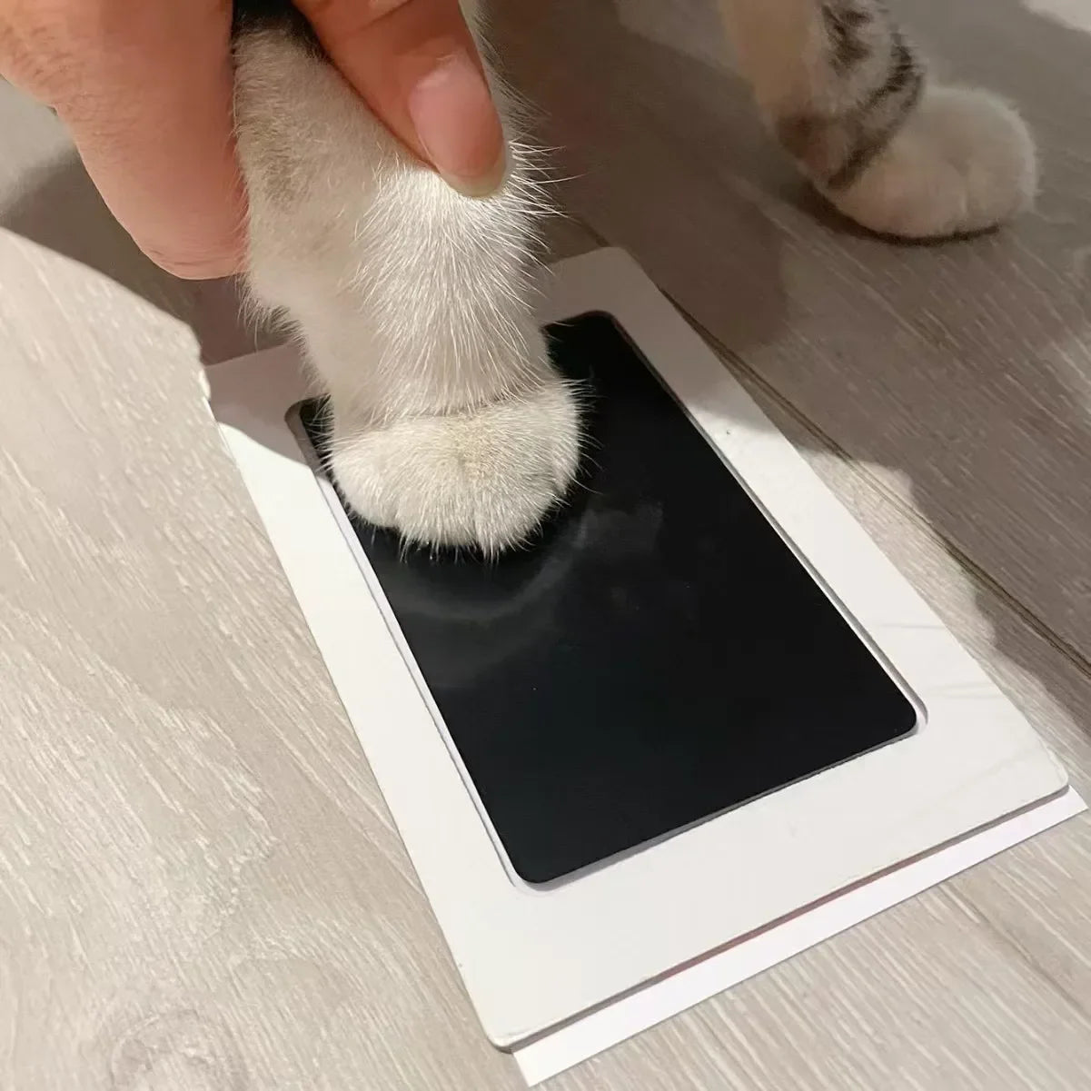 Inkless Baby & Pet Print Kit – Safe & Non-Toxic