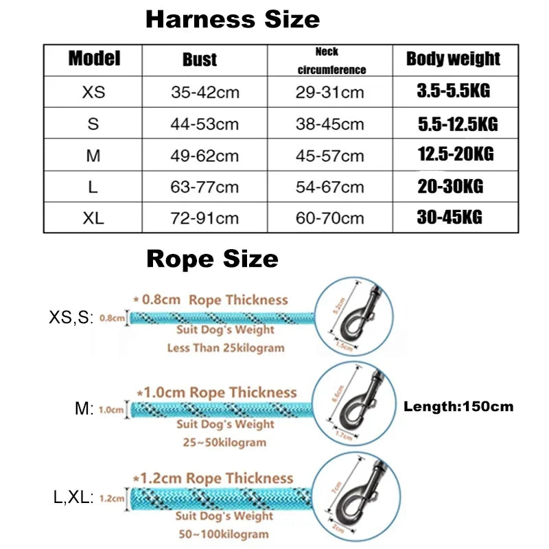 Reflective Dog Harness Set – Adjustable with 150cm Leash
