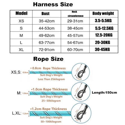 Reflective Dog Harness Set – Adjustable with 150cm Leash