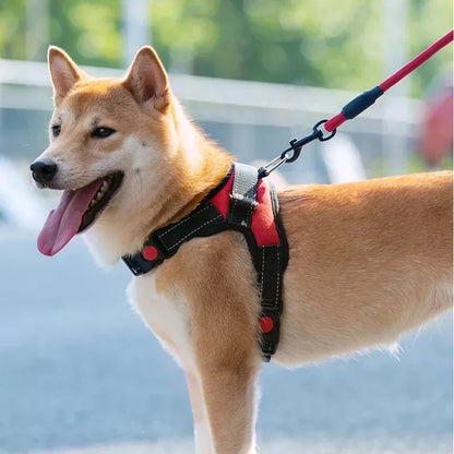 Reflective Dog Harness Set – Adjustable with 150cm Leash