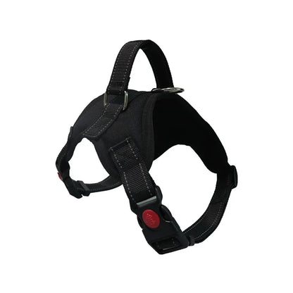 Reflective Dog Harness Set – Adjustable with 150cm Leash