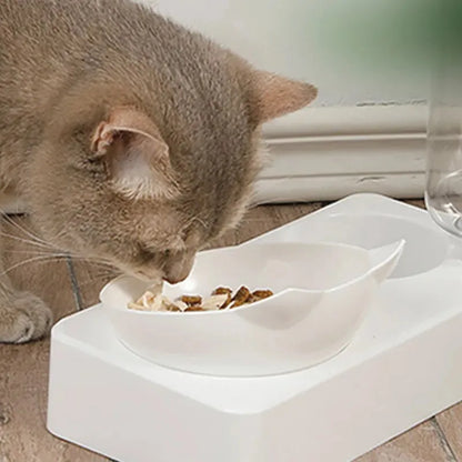 Pet Feeding Bowl – 15° Tilt with Water Dispenser