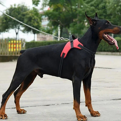 Reflective Dog Harness Set – Adjustable with 150cm Leash