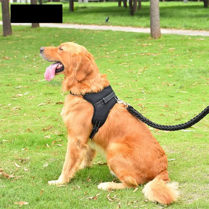Reflective Dog Harness Set – Adjustable with 150cm Leash