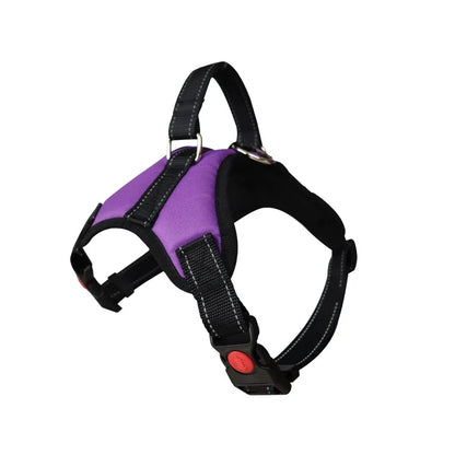 Reflective Dog Harness Set – Adjustable with 150cm Leash